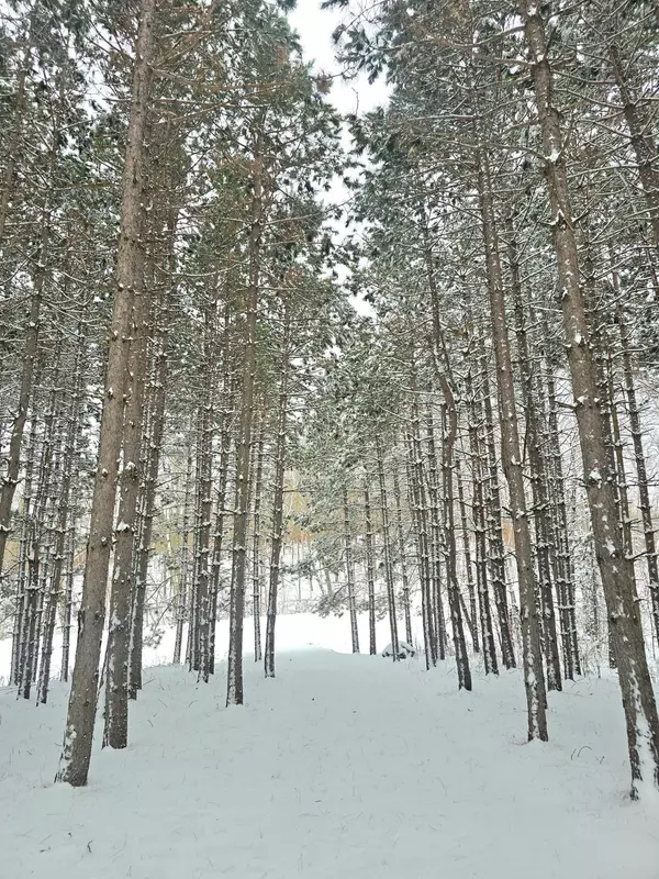 Detroit Lakes, MN 56501,30180 Tower RD