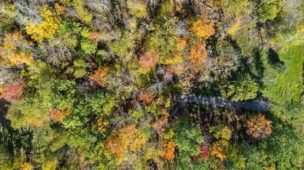 Grand Rapids, MN 55744,29606 E Bass Lake RD