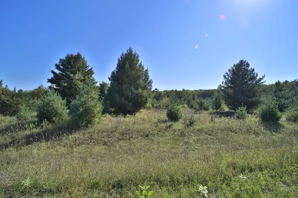 TBD Partridge CT, Browerville, MN 56438