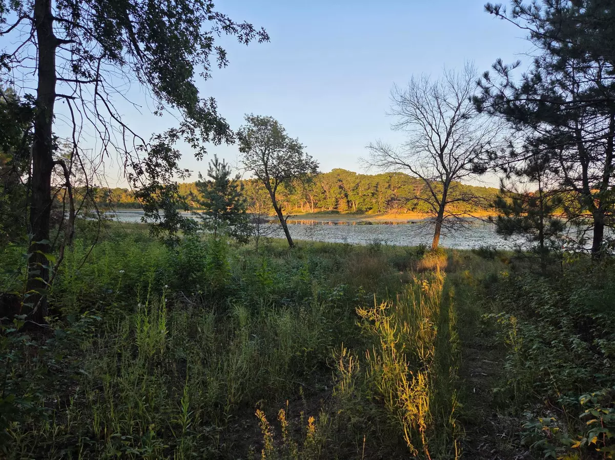 Wyanett Twp, MN 55371,XXX 349th AVE NW