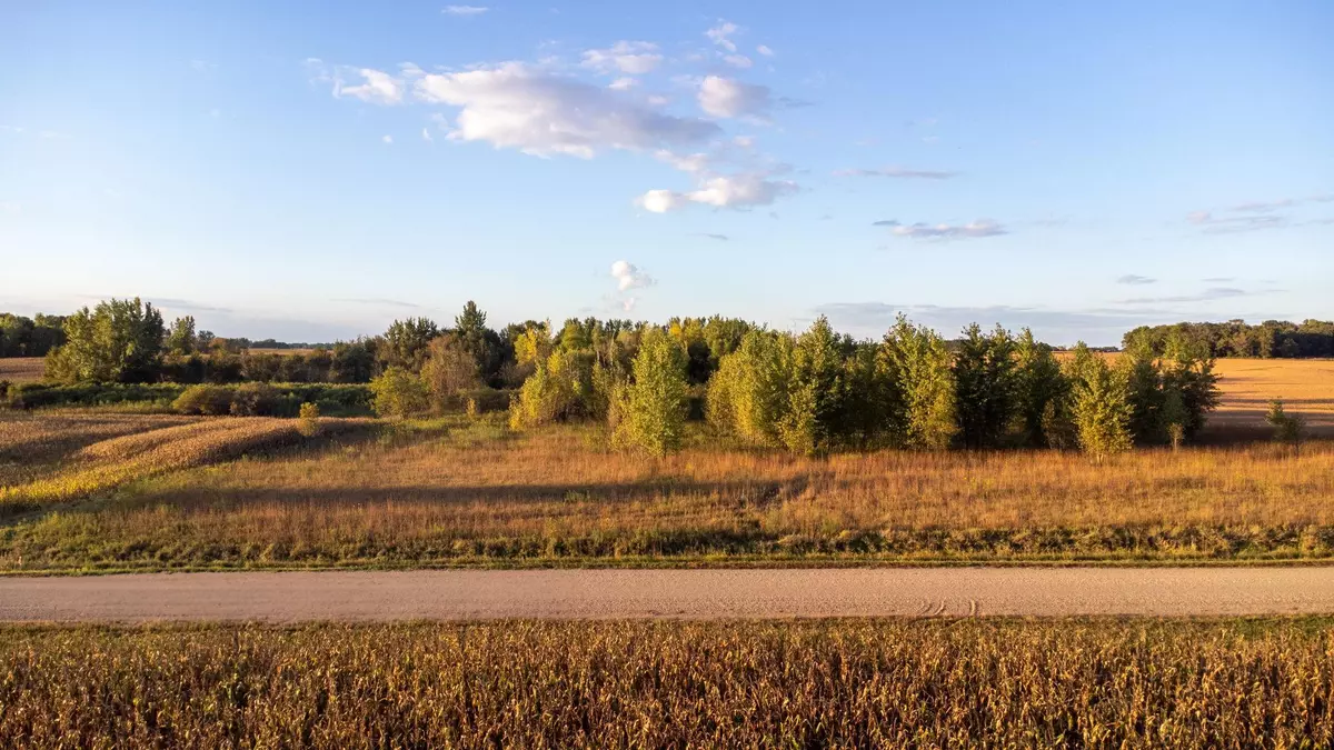 Litchfield, MN 55355,xxx 225th ST