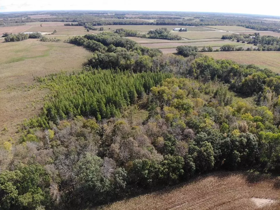 Aldrich Twp, MN 56481,TBD 150th ST