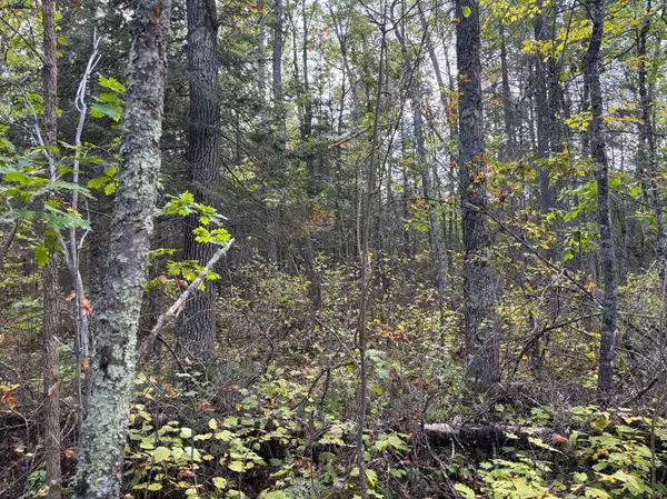 Palisade, MN 56469,TBD Grove ST