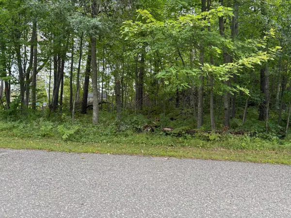 Breezy Point, MN 56472,TBD Lots 111 & 112 Terminal RD