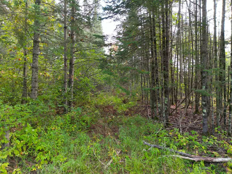 13450 S Swedish HWY, Dairyland, WI 54830