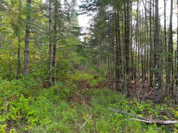 13450 S Swedish HWY, Dairyland, WI 54830