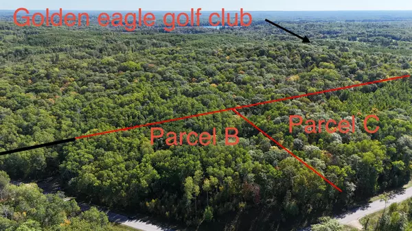 Fifty Lakes, MN 56448,TBD Kego Lake RD