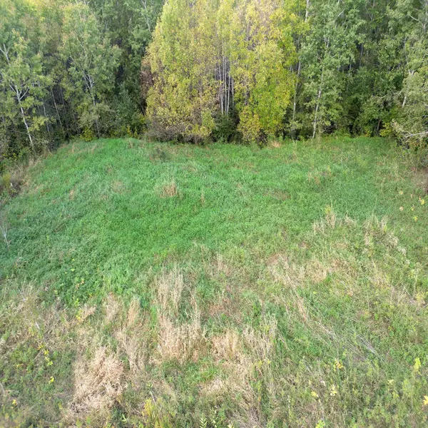 Millward North Twp, MN 55783,TBD 155th PL