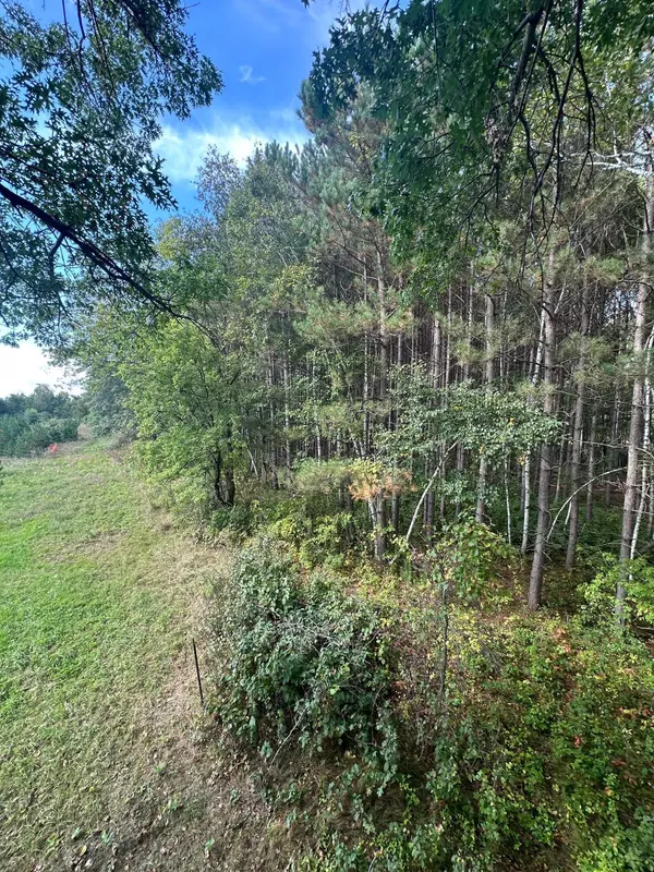 Harris, MN 55032,XXX 424th ST