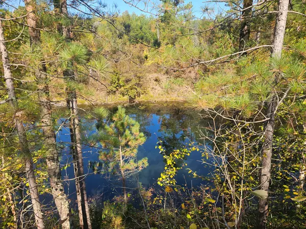 Crosby, MN 56441,XXX Miller Lake Road