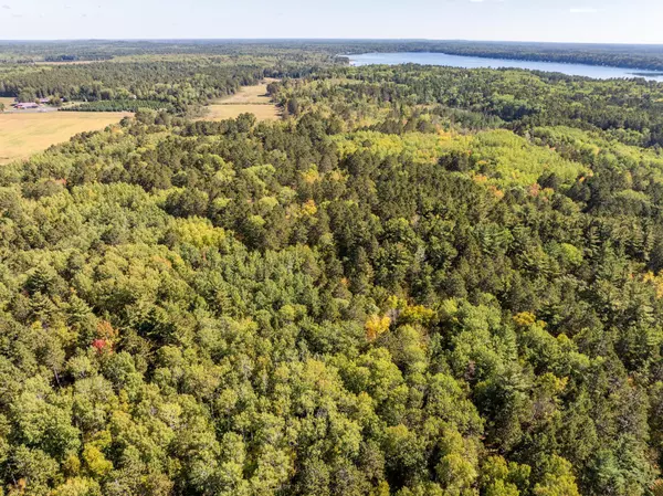 Timothy Twp, MN 56474,39687 Swanberg RD