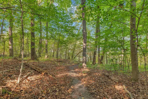 Saint Joseph, MN 56374,12814 Juniper RD