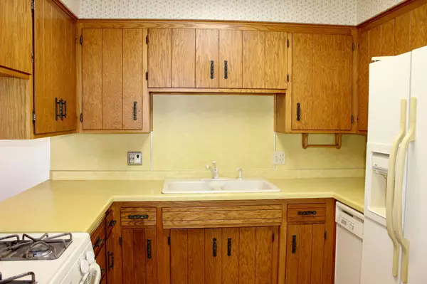 Blooming Prairie, MN 55917,232 5th ST NW