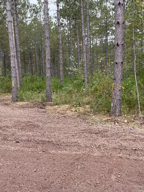 Sturgeon Lake Twp, MN 55783,87352 Kettle Shores LOOP