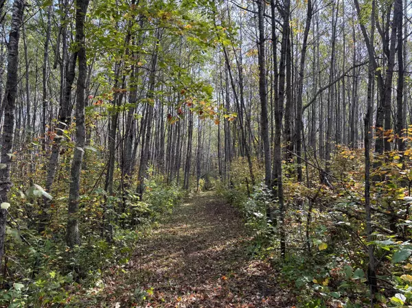 Tamarack, MN 55787,TBD 120th PL