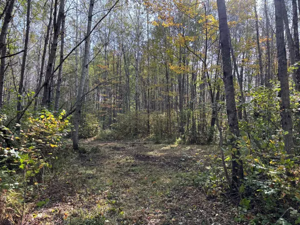 Tamarack, MN 55787,TBD 120th PL