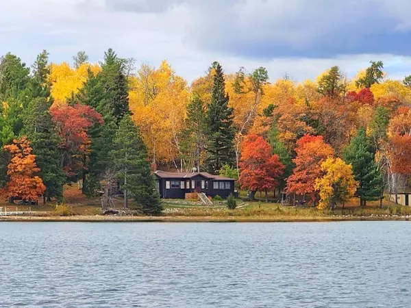 Nevis Twp, MN 56467,19776 Edelweiss DR