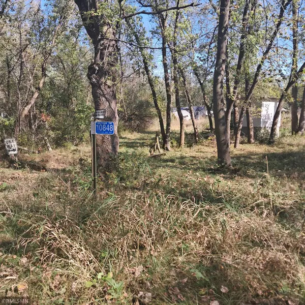 Southside Twp, MN 55382,10848 Porter AVE NW