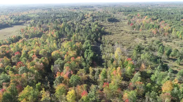 Anderson Twp, WI 54840,XXXXX Logging Creek RD