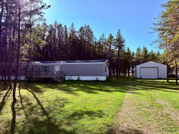 Williams, MN 56686,541 Wilderness AVE