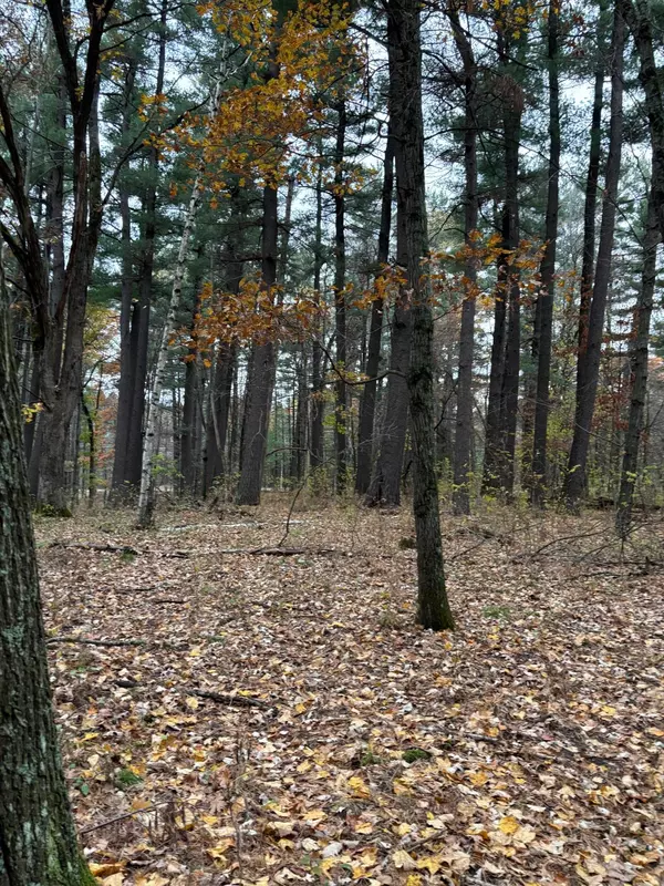 Dalbo, MN 55017,38xxx Jivaro ST NW