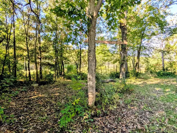 Garfield Twp, WI 54001,TBD Wanderoos Rd.