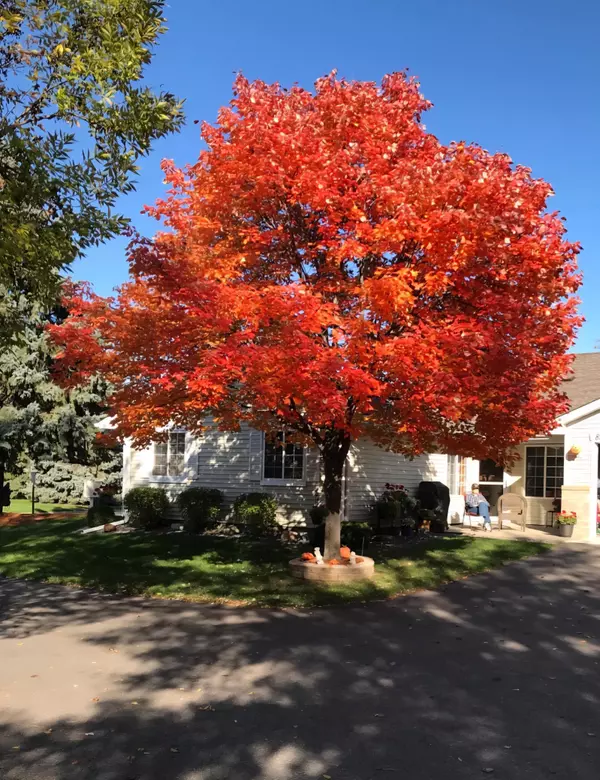 Brooklyn Park, MN 55443,8513 Stratford LN N