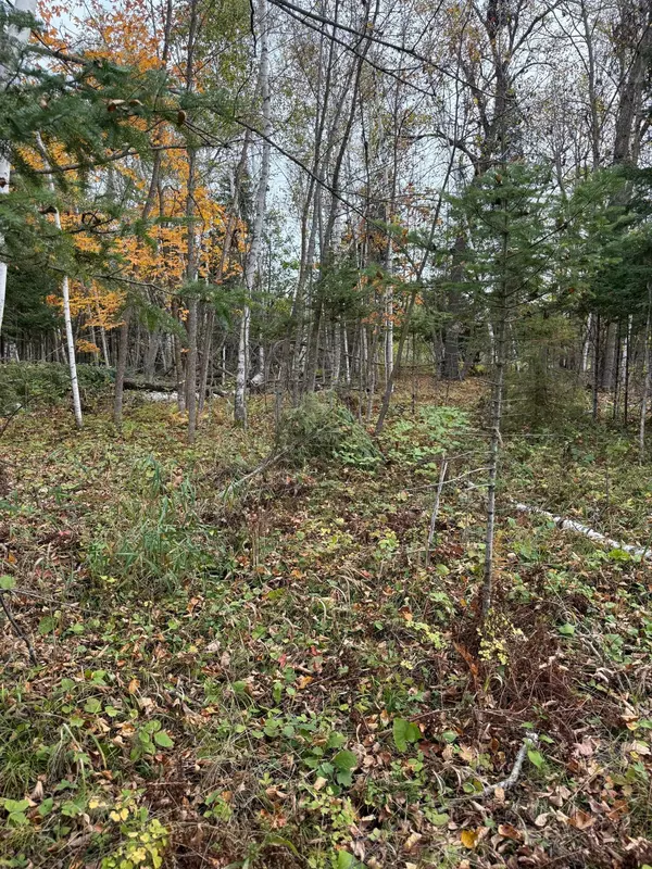 Minerva Twp, MN 56676,TBD Minerva Lake Rd