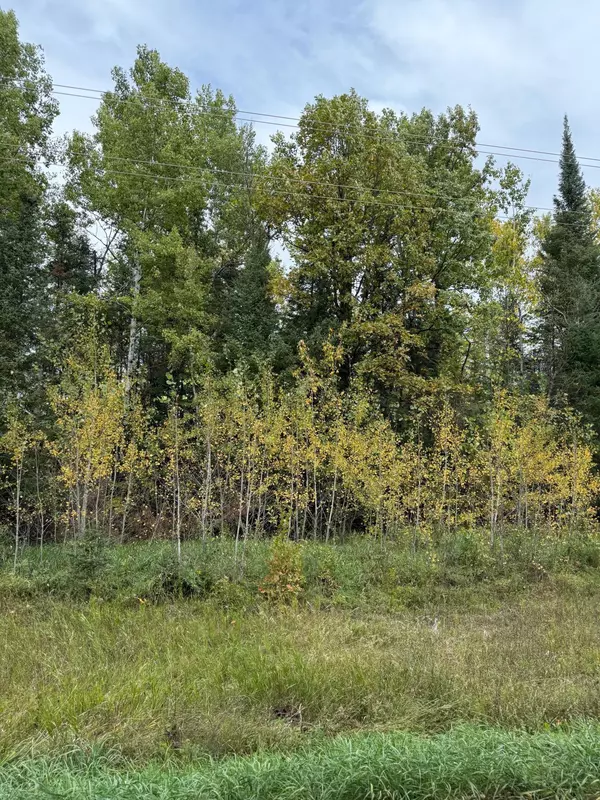 Minerva Twp, MN 56676,TBD Minerva Lake Rd