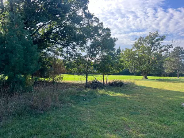 Danbury, WI 54830,Lot 38 Meadow Green RD