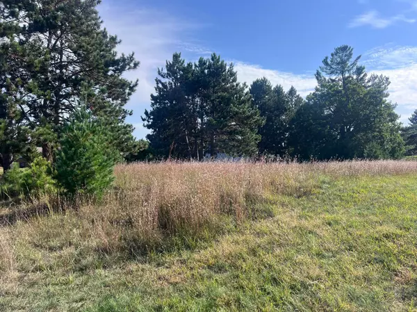 Danbury, WI 54830,Lot 38 Meadow Green RD