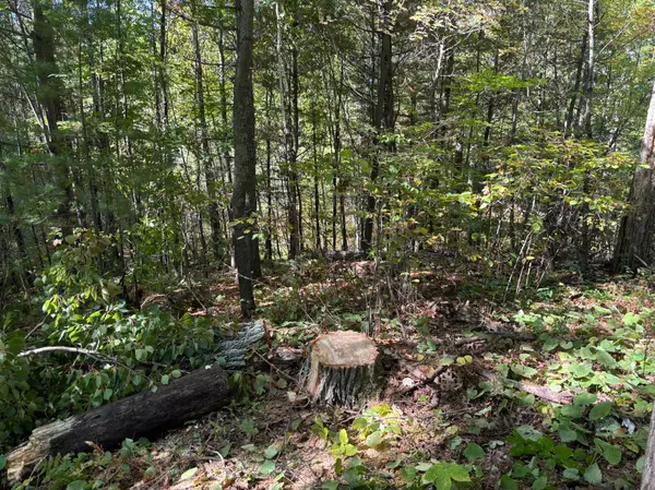 Walker, MN 56484,704 5th ST