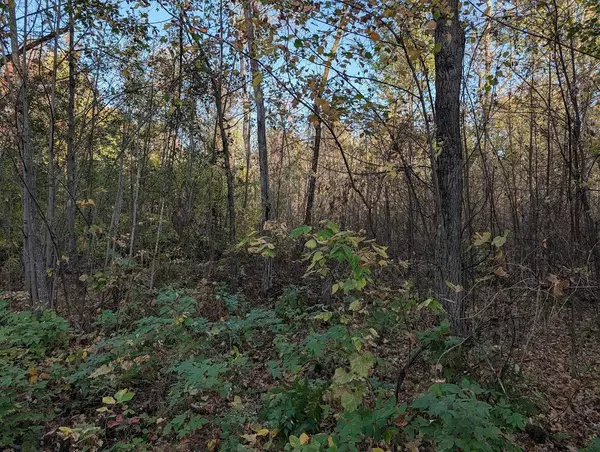 Mcgregor, MN 55760,TBD Long Point Pl