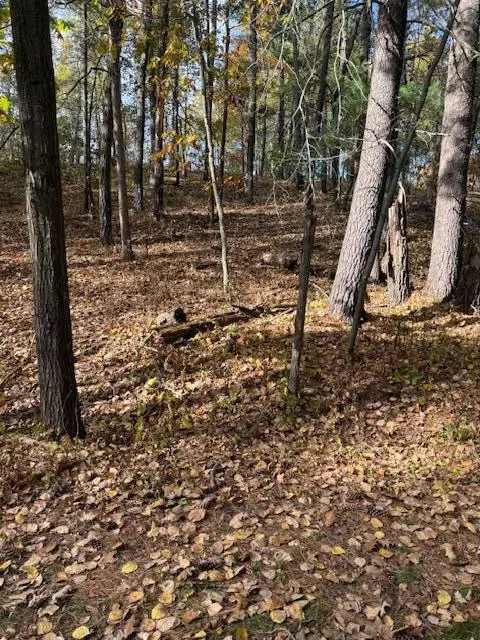 Lake Shore, MN 56468,1380 Little John RD