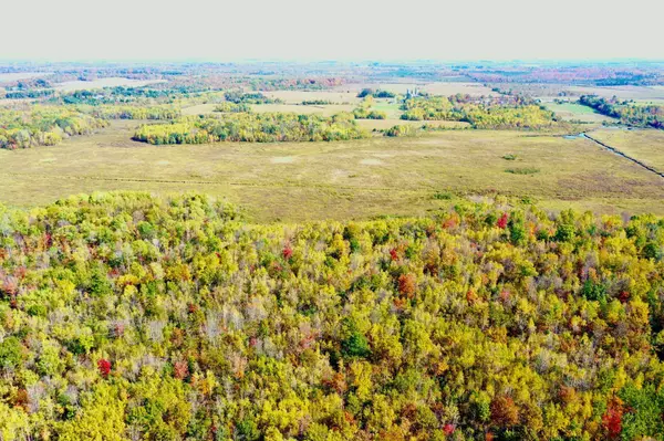 Sandstone Twp, MN 55704,58280 Boundary Line RD