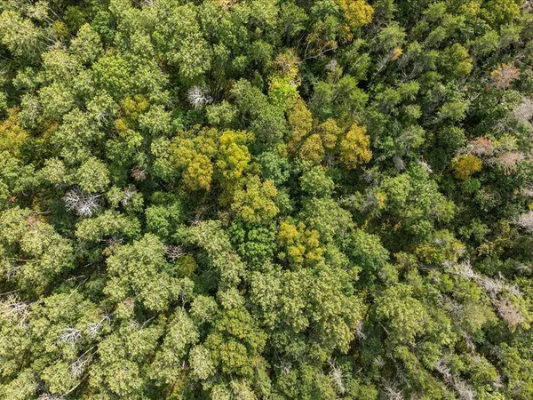 Mission Twp, MN 56465,Parcel F Horseshoe Lake Rd