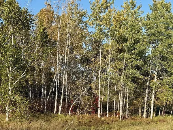 Kerrick Twp, MN 55783,48XYZ Deerfield Road