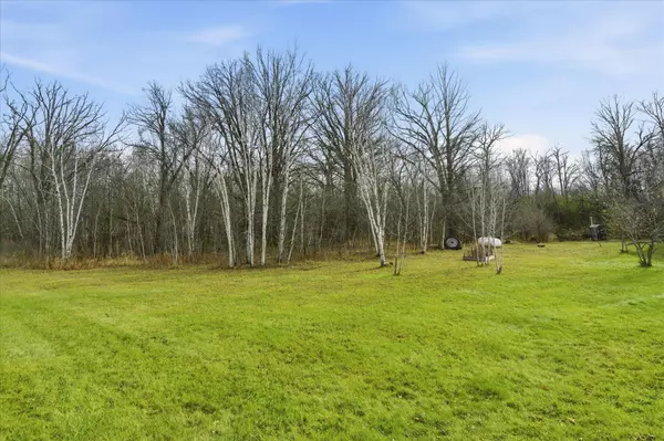 Borgholm Twp, MN 56353,9233 140th ST