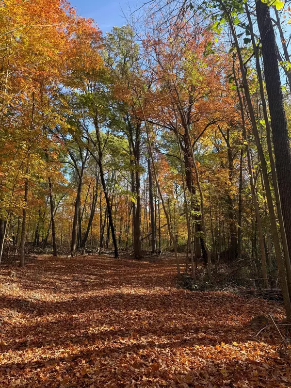 Aitkin, MN 56431,999 Porcupine TRL