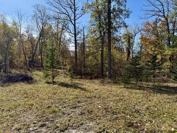 Bemidji, MN 56601,L1B3 Sherman DR NE