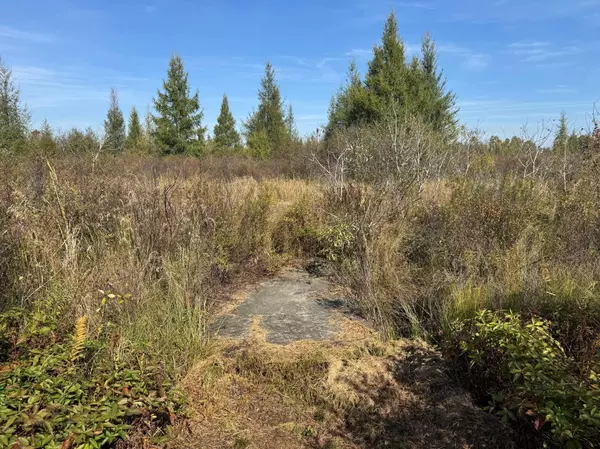 Palisade, MN 56469,TBD 460th LN