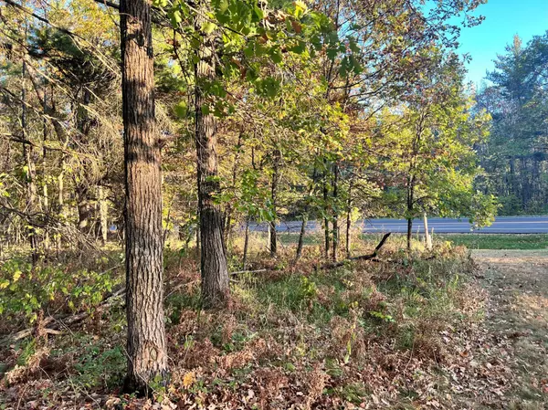 Walker, MN 56484,TBD Steamboat LOOP