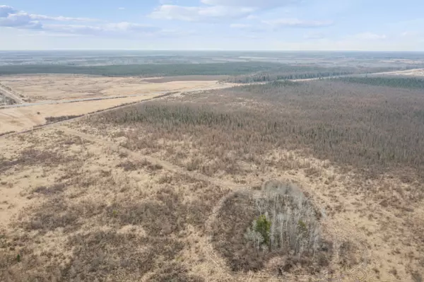 Palisade, MN 56469,XXX US Hwy 169