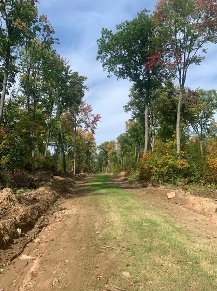 TBD County Road T 2, Dairyland, WI 54830