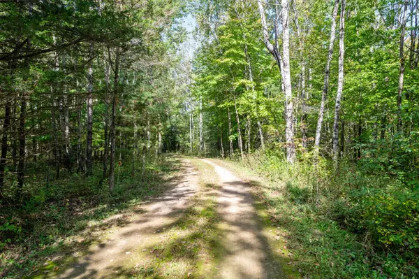 Sunrise Twp, MN 55056,10869 Haycreek RD