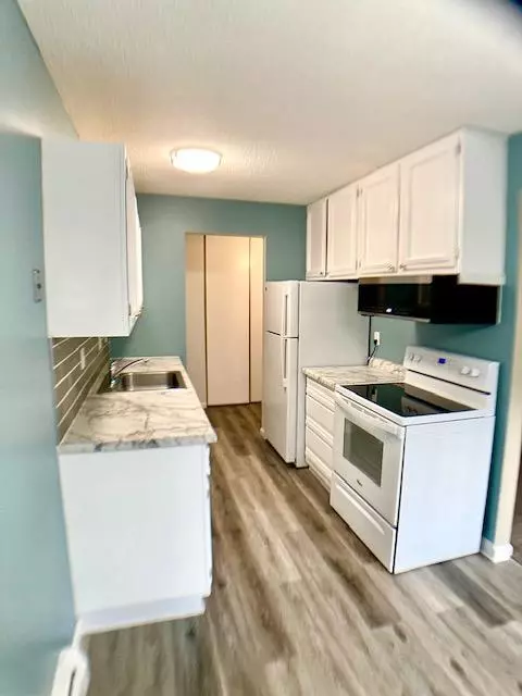 Hopkins, MN 55343,924 Westbrooke WAY #3