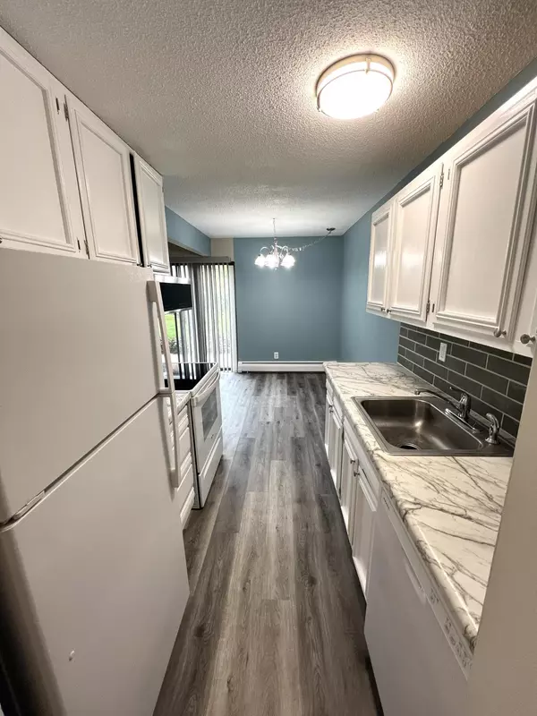 Hopkins, MN 55343,924 Westbrooke WAY #3