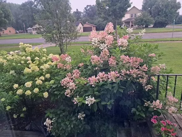 Wadena, MN 56482,524 Irving AVE SW