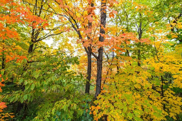 Prior Lake, MN 55372,5096 E Oak Point DR