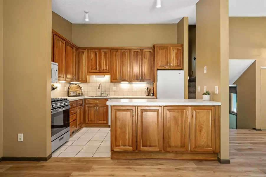 1010 Zanzibar LN N, Plymouth, MN 55447